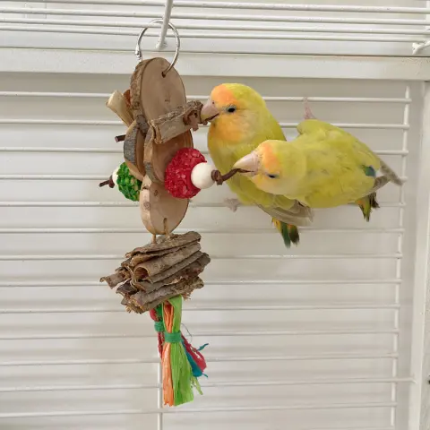 Parrot Bird Bite Toy String Relieving Stuffy Decorative Color