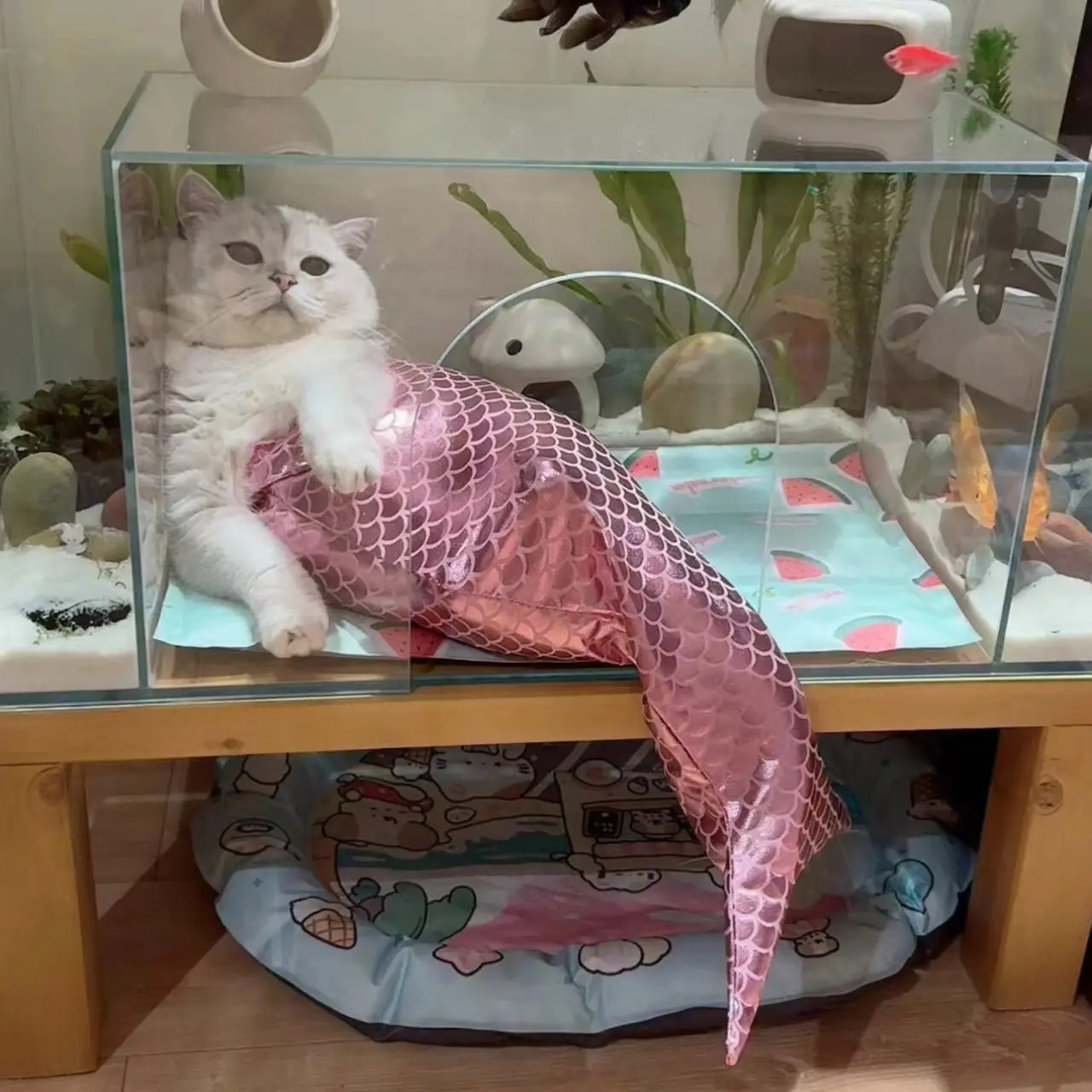 Mermaid Tail Cat Fishtail Decoration
