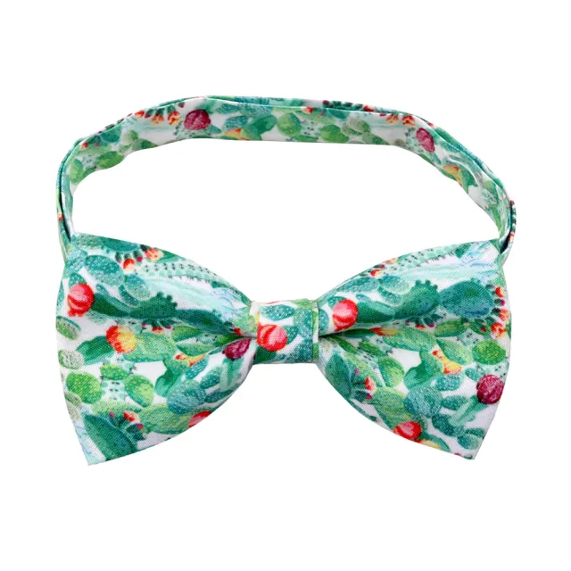 Fruit Pet Small Bow Tie Cactus Dog Cat Decorations Cactus - Shop at LoveMi
