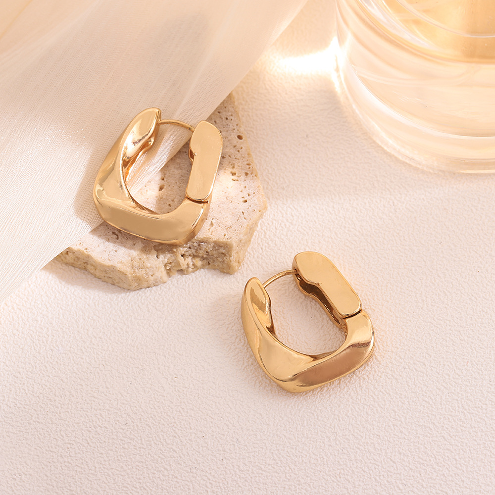 Metal Alloy Earrings High-grade Earrings For Women Geometric Ornament