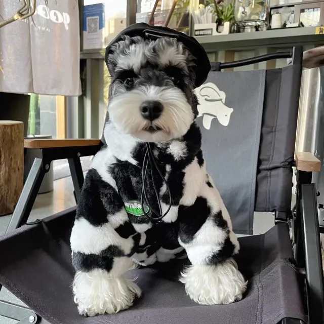 Dog Clothing Thickened Warm Fur Coat Big Cow Fur - Shop at LoveMi