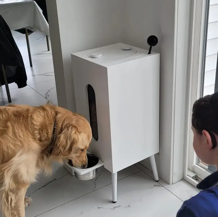 Wooden Pet Feeder Large Capacity