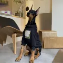 Black, Hoodie