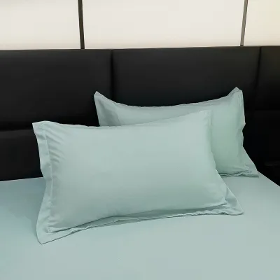 Modern Minimalist Washed Cotton Solid Color Pillowcase Pillow Insert Pairs