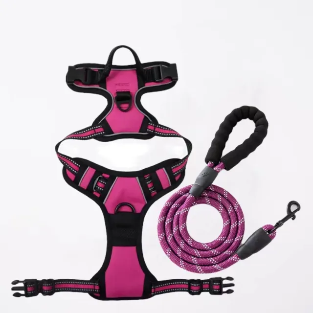 Pet Hand Holding Rope Chest And Back Nylon Dog Rope Rose Red 1.5 M Round Rope - Shop at LoveMi