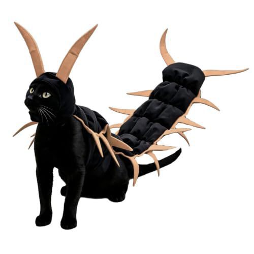 https://cf.cjdropshipping.com/quick/product/fe72526a-e387-421e-9102-9081ca2b226e.jpg