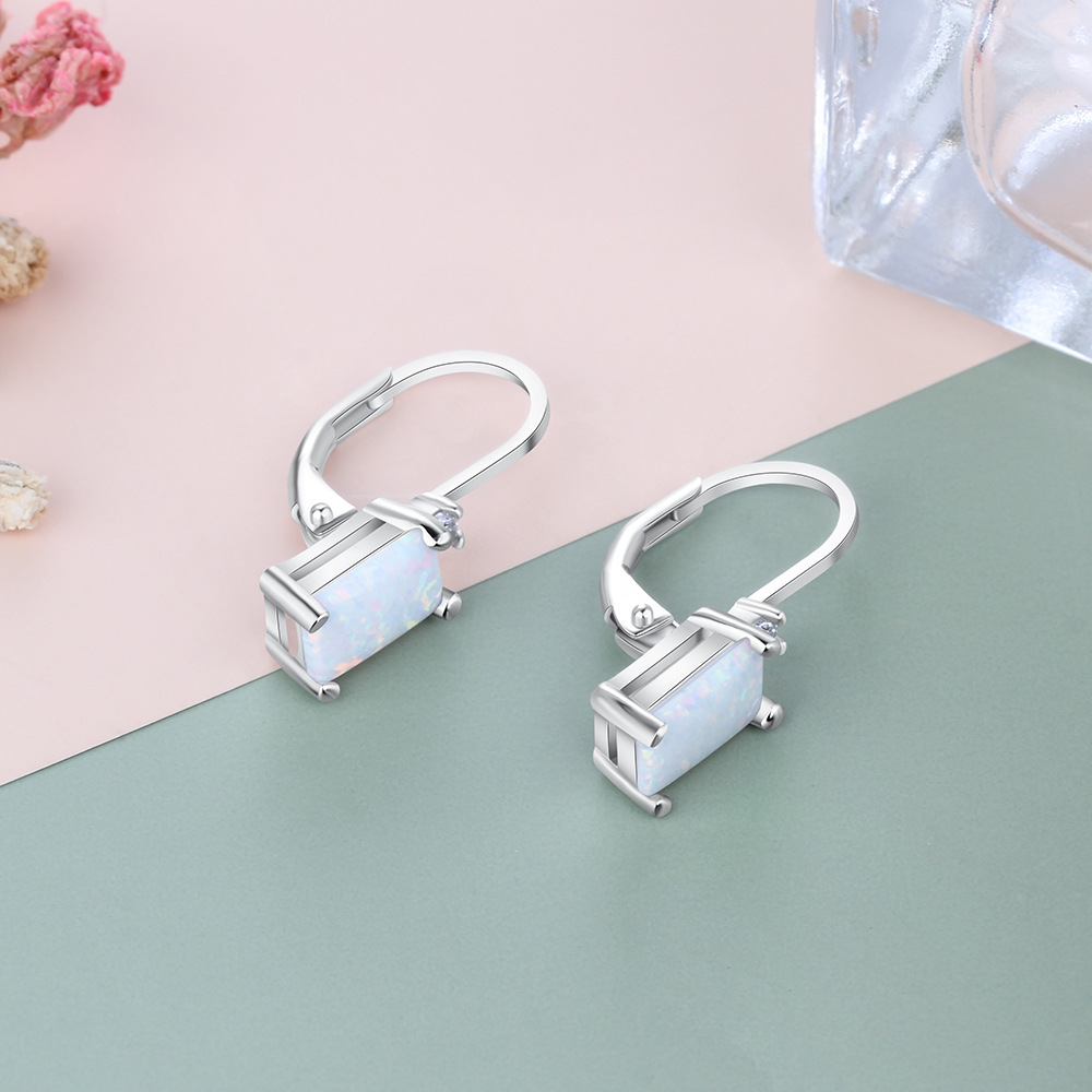 European And American Simple Earrings S925 Silver Accessories Opal Accessories