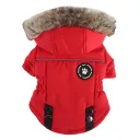 Dz274 Red