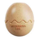 Eggshell Color