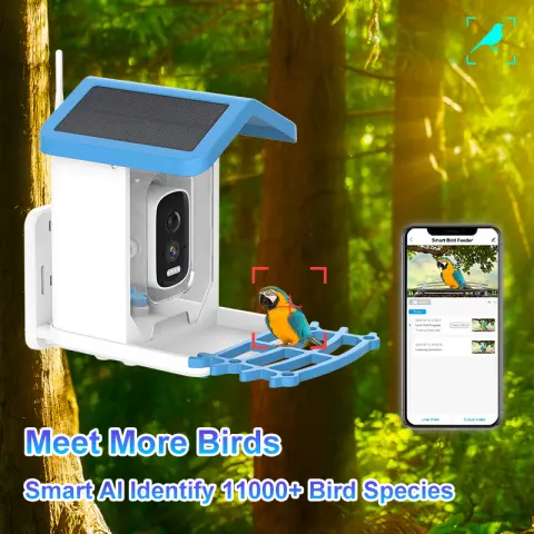 Intelligent Bird Feeding Recognition Solar HD Feeder