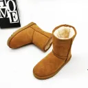 Chestnut-35
